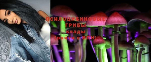 амф Каменск-Шахтинский