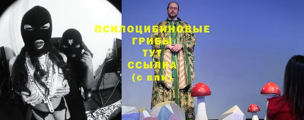 дживик Вяземский