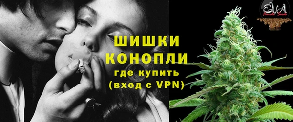 шишки Алексеевка
