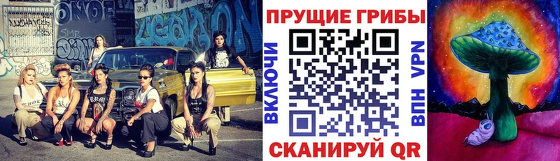 где можно купить   Глазов  Псилоцибиновые грибы Cubensis 